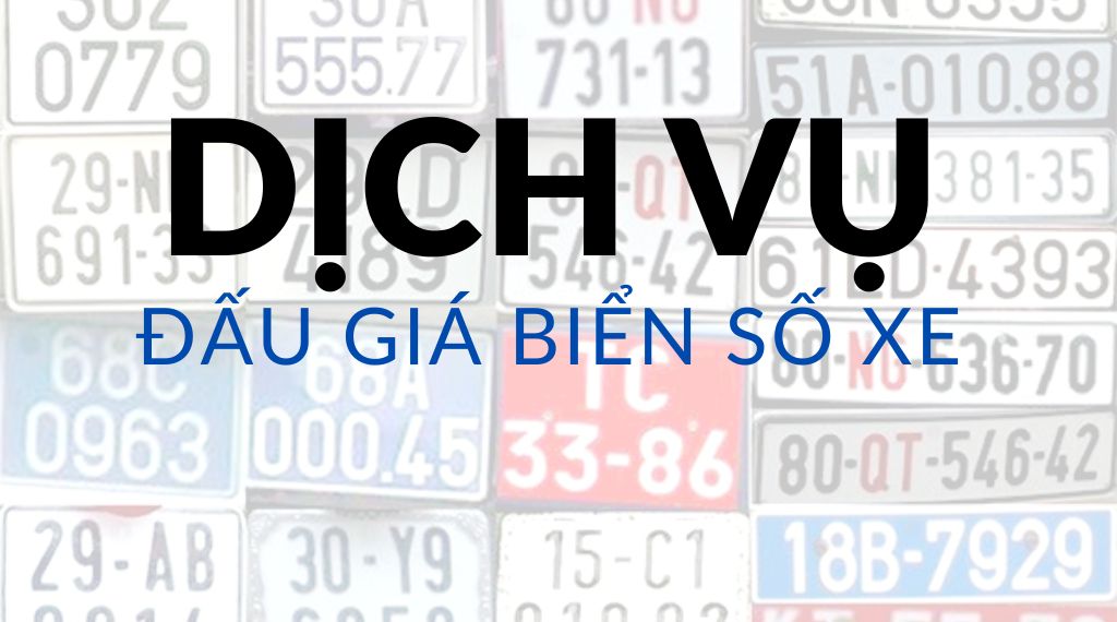 dịch vụ đấu giá biển số xe